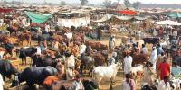 Eid Ul Azha