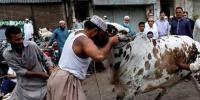 Eid Ul Azha