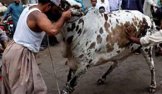 Islamic Rules