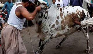 Islamic Rules