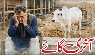 Urdu Digest