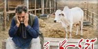 Urdu Digest