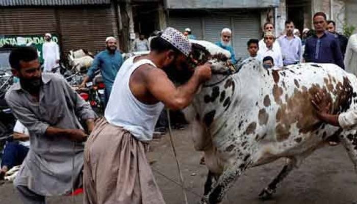 عید الاضحیٰ: صبر و وفا، تسلیم و رضا، ایثار و قربانی کی لازوال داستان
