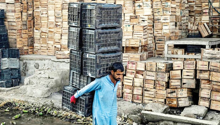 کیا ہم واقعی ترقی کرنا چاہتے ہیں؟
