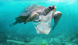 Plastic Bags