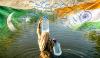 Indus Water