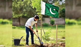 Pakistan Day