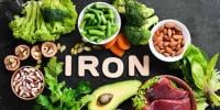 Health And Fitness