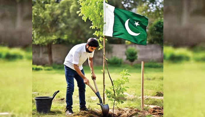 مفہومِ آزادی