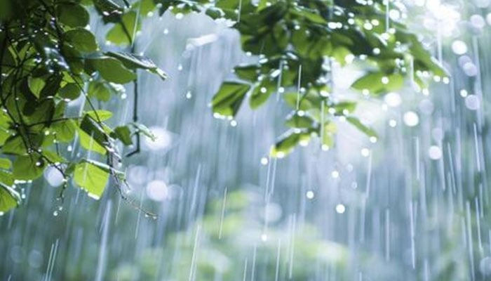 بارش کے بعد مٹی سے سوندھی خوشبو کیوں آتی ہے؟