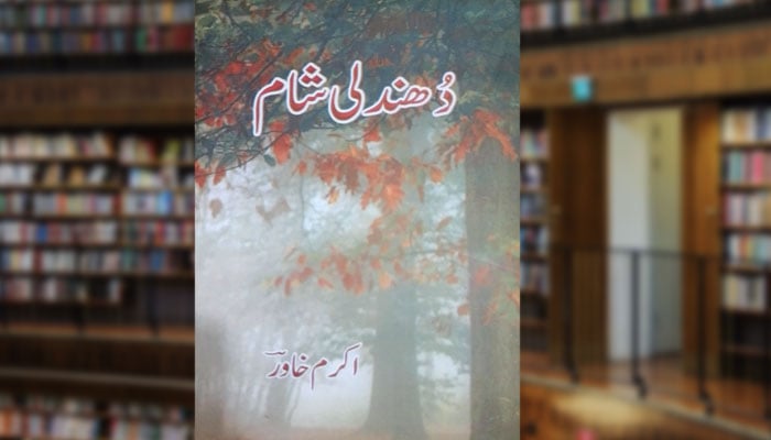 دھندلی شام