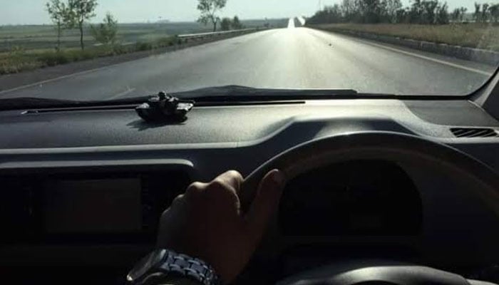 جانور گاڑی کے نیچے آ کر مرجائے تو کیا کریں؟