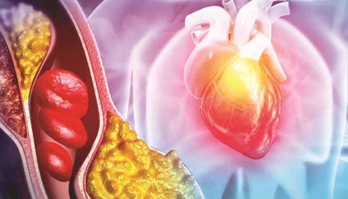 امراضِ قلب: مختلف چکنائیوں کے اثرات