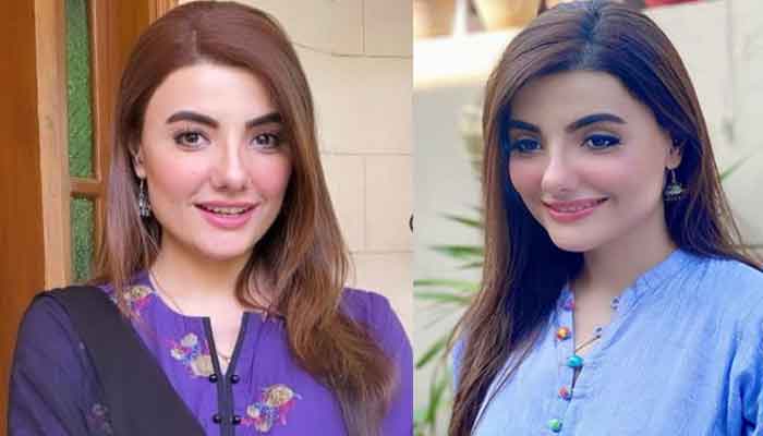 Zainab Jamil's announcement to quit showbiz leaves fans scratching their heads