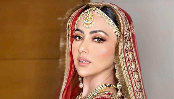 Sana Khan wishes 'best shohar' Happy Birthday on Kashmir honeymoon