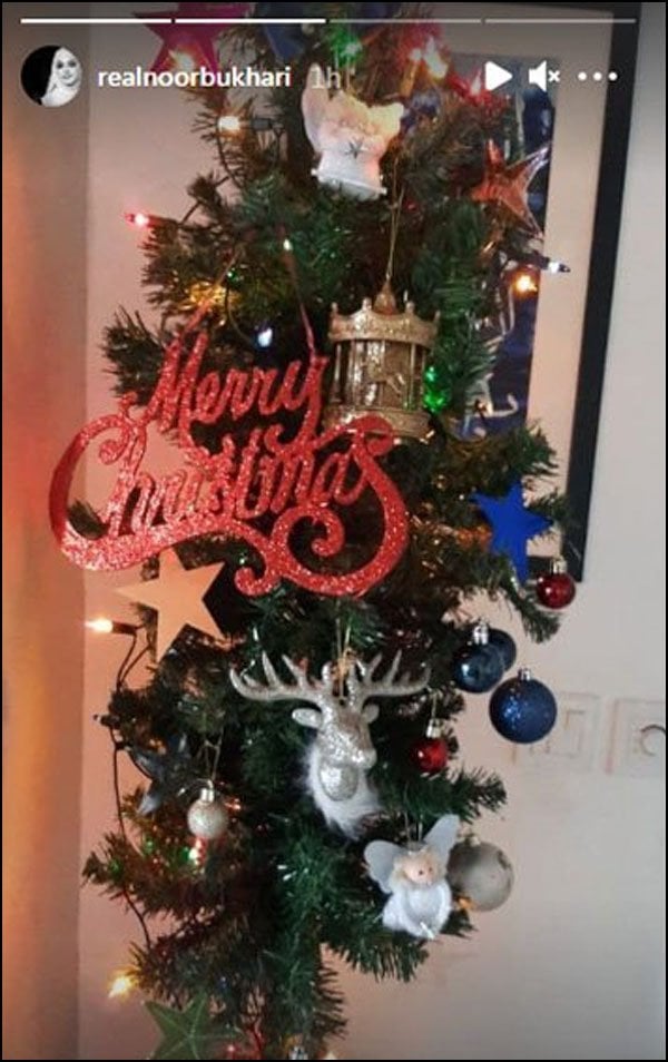 Noor Bukhari hits back at the criticism for Christmas decorations