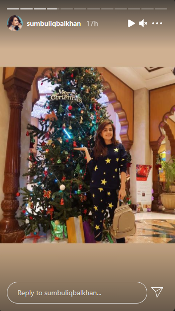 Pakistani TV stars share their moments of celebrating Christmas joys