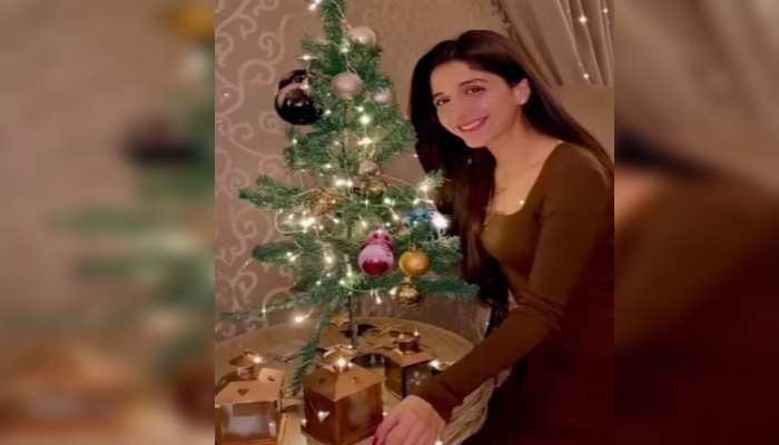Pakistani TV stars share their moments of celebrating Christmas joys: In pictures