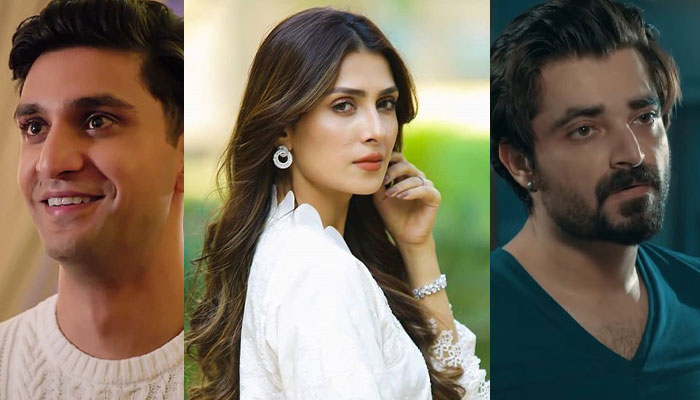 From Alif to Mere Paas Tum Ho: Pakistani dramas that won hearts in 2020