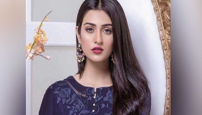 Sarah Khan gives a shut-up call to troll on the Internet, who tried to school her
