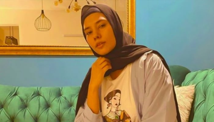 Anam Malik requests media outlets to stop sharing her modeling pictures