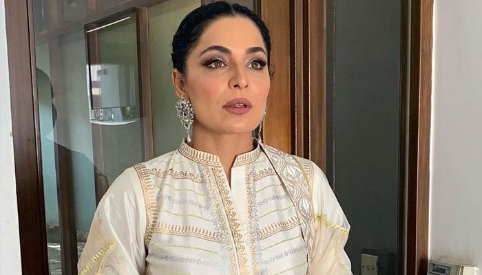 Meera takes a dig on some of the mean comments on social media in latest video