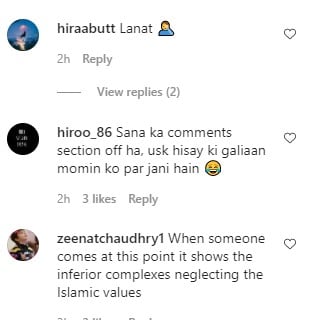 Sana Fakhar receives abusive criticism for kissing her husband in latest picture