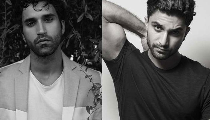 Meet Gurfateh Pirzada: Ahad Raza Mir's doppelganger from India