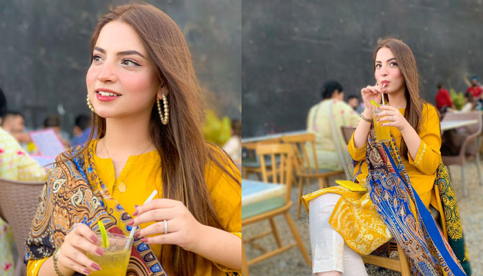 What is Dananeer Mobeen's favorite PSL team?: Read Inside