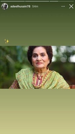 Pakistani celebrities reacts to the death of Haseena Moin