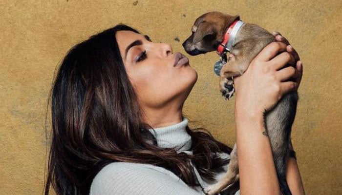 Priyanka Chopra on how pet Diana 'took care' of her