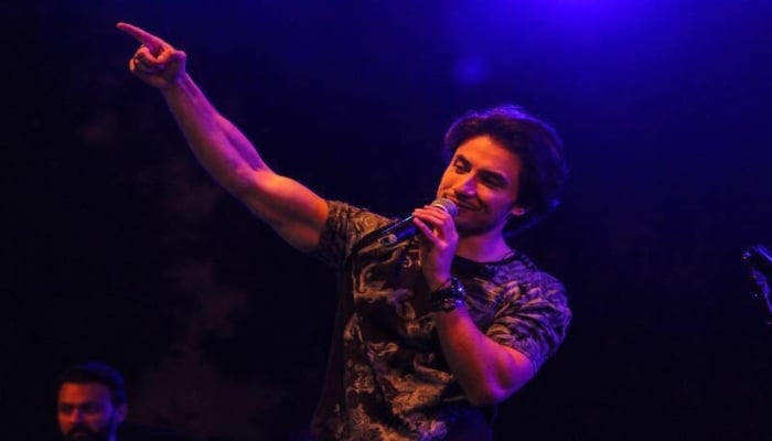 Celebrating 70 years of Pak-China friendship, Ali Zafar collaborates with Chinese singer for new song