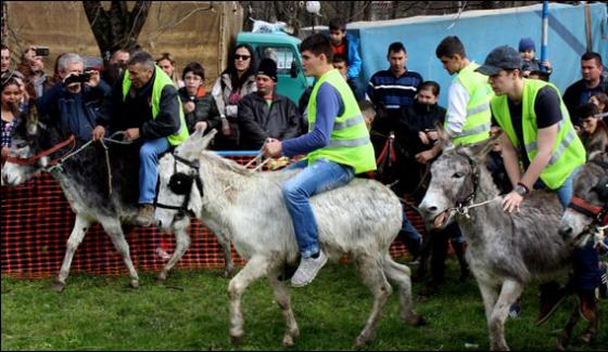 Unique Donkeys Annual Race In Serbia