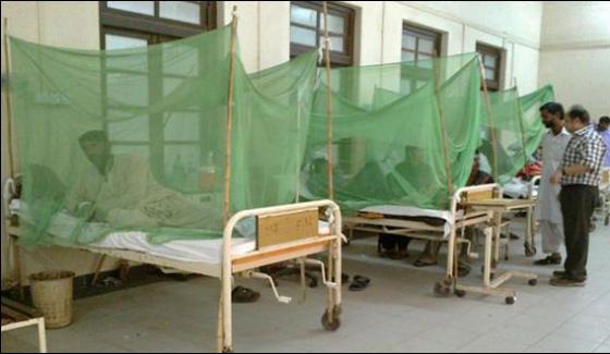 Karachi The Number Of Patients Suffering From Dengue Fever Is 351