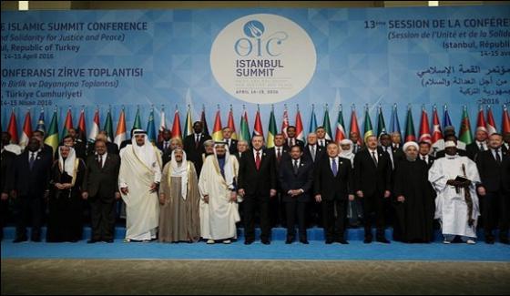Islamic Summit Starts In Istanbul