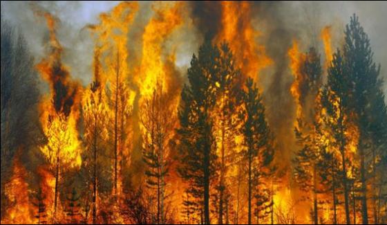 Fire Erupts In Murree Forest