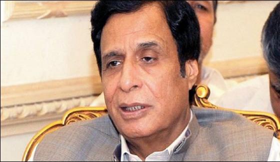 The Government Written Others Names In Panama Leaks Pervez Elahi