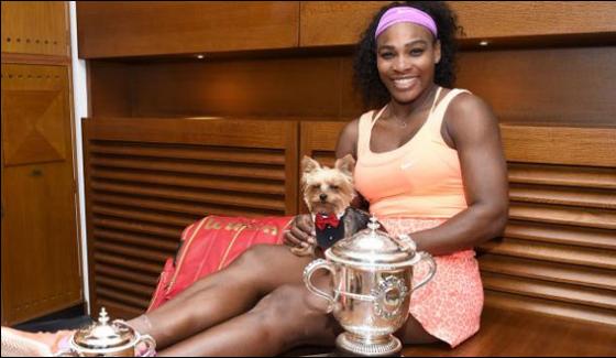 Tennis Star Serena Ate Her Own Dog Food