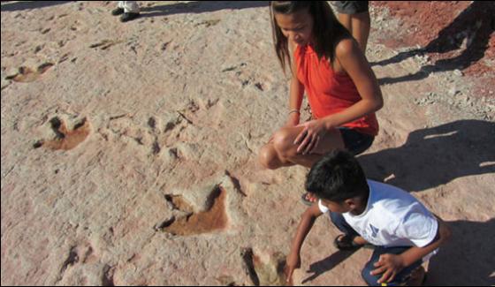 Millions Of Years Discovery Old Foot Print Of Dinosaur