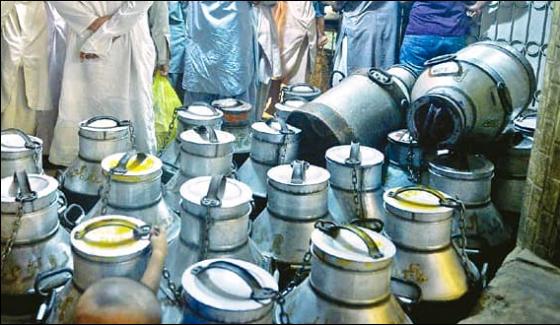 Gujrawala 1000 Litre Unhygienic Milk Found