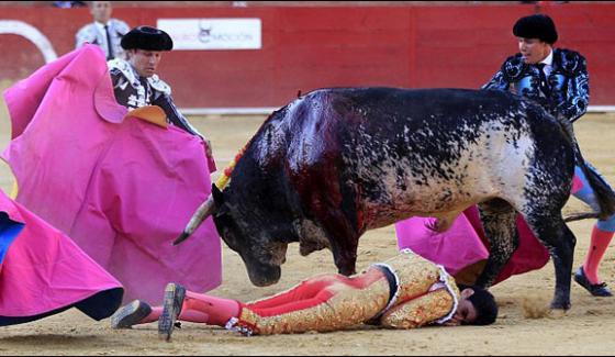 Spanish Bull Fighter Killed During Performances