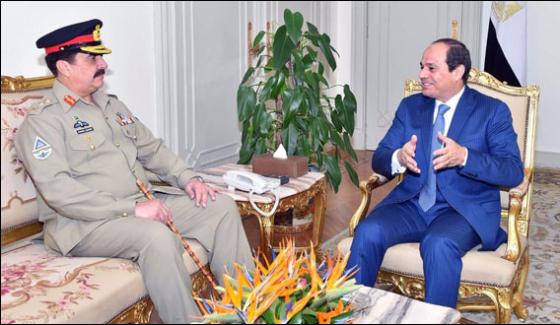 Amry Chief Meet Egyptian President