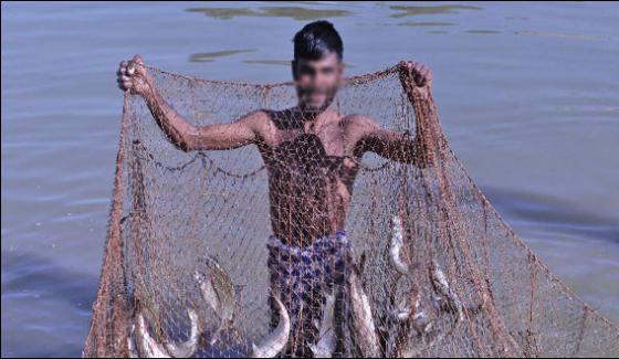 Increased Use Of Thin Net In Sindh Coastal Areas