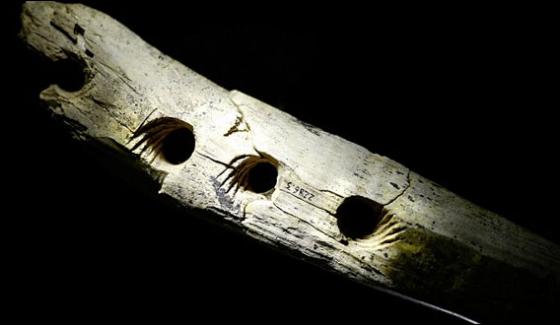 Archaeologists Find 40000 Year Old Rope Making Tool In Germany