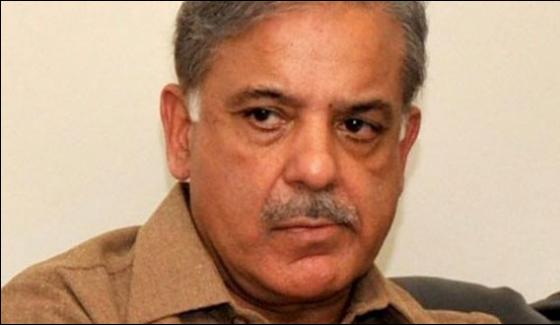 Shahbaz Sharif Addressed Business Conference In China