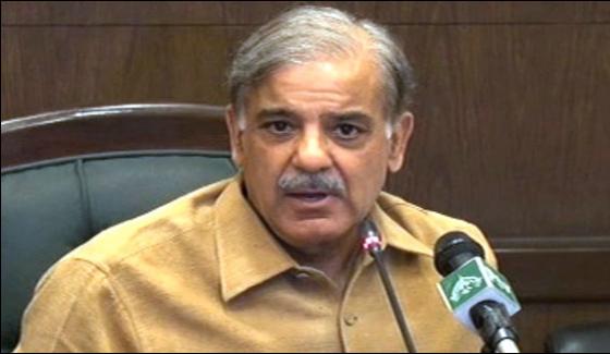 Give Best Opportunities To Chinese Industrialist Says Shehbaz Sharif