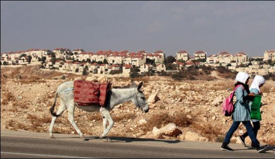 Israeli Army Selling Seized Donkeys Stirs Palestinian Outrage