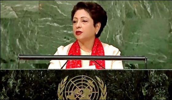 Maleeha Lodhi Demands Member Of Nuclear Power Supply Group