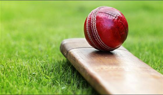 Women Cricket Team Will Visit New Zealand In November