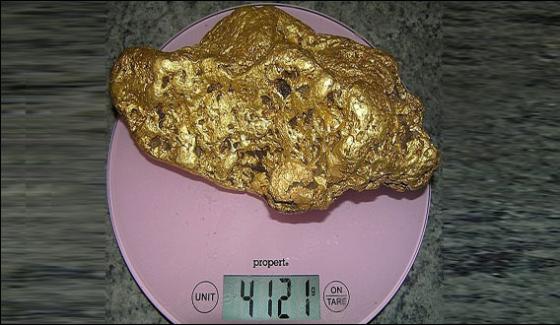 Hobby Prospector Finds 41 Kg Gold Nugget